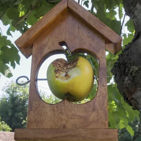 Casa De La Montana Turistico