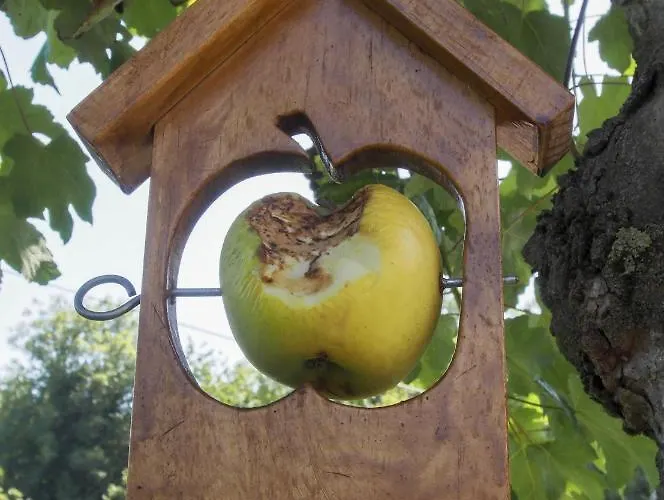 Casa De La Montaña Turístico